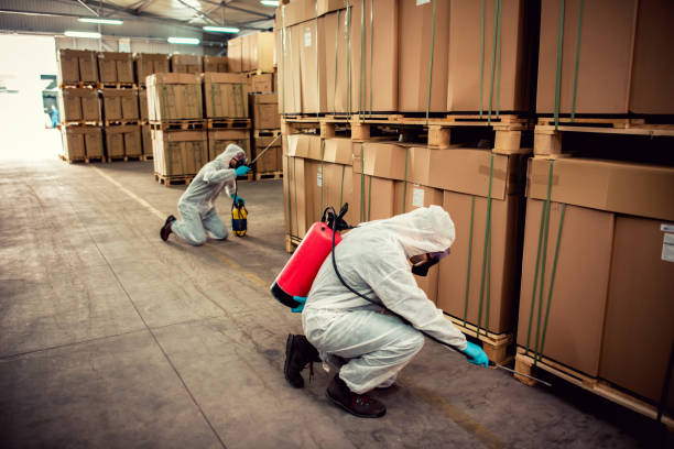 Best Cockroach Control Services  in Ashland, MO