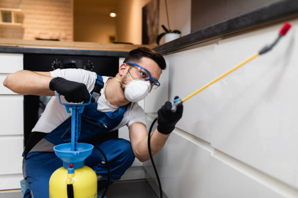Best Pest Control Near Me  in Ashland, MO
