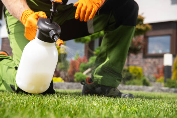 Best Insect Control  in Ashland, MO