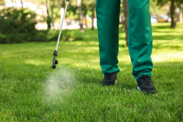 Best Mosquito Control Services  in Ashland, MO